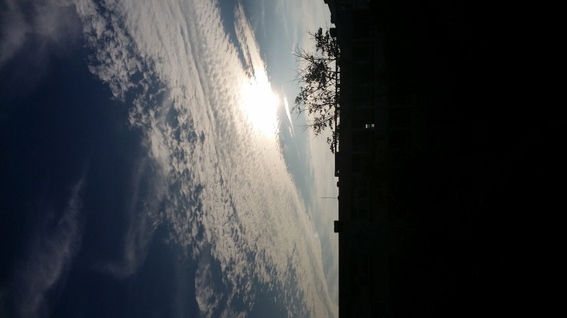½ÉÀÎ